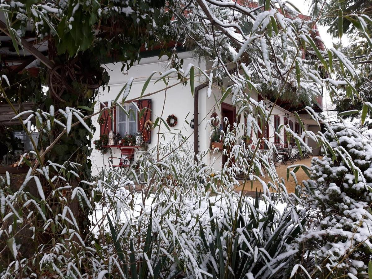 Garten Vendeghaz Эгер Экстерьер фото