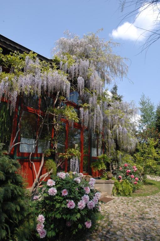 Garten Vendeghaz Эгер Экстерьер фото