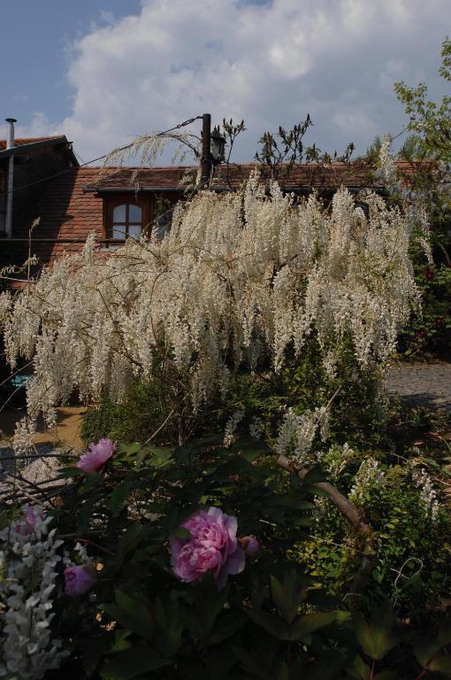 Garten Vendeghaz Эгер Экстерьер фото