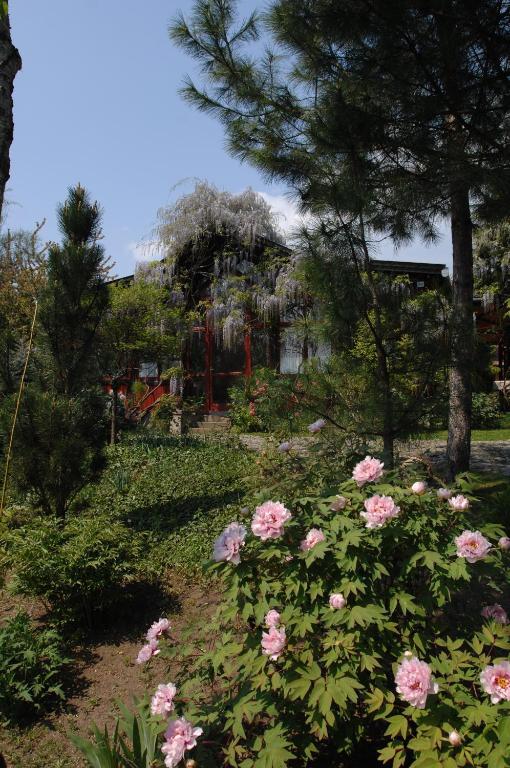 Garten Vendeghaz Эгер Экстерьер фото