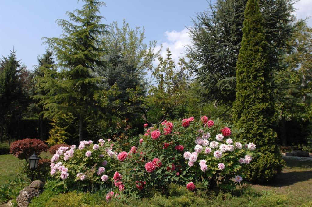 Garten Vendeghaz Эгер Экстерьер фото