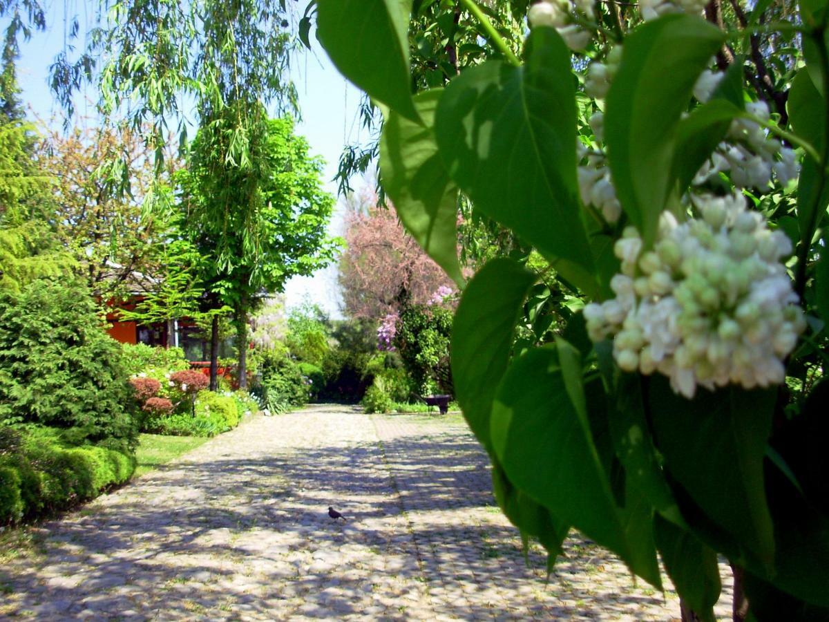 Garten Vendeghaz Эгер Экстерьер фото