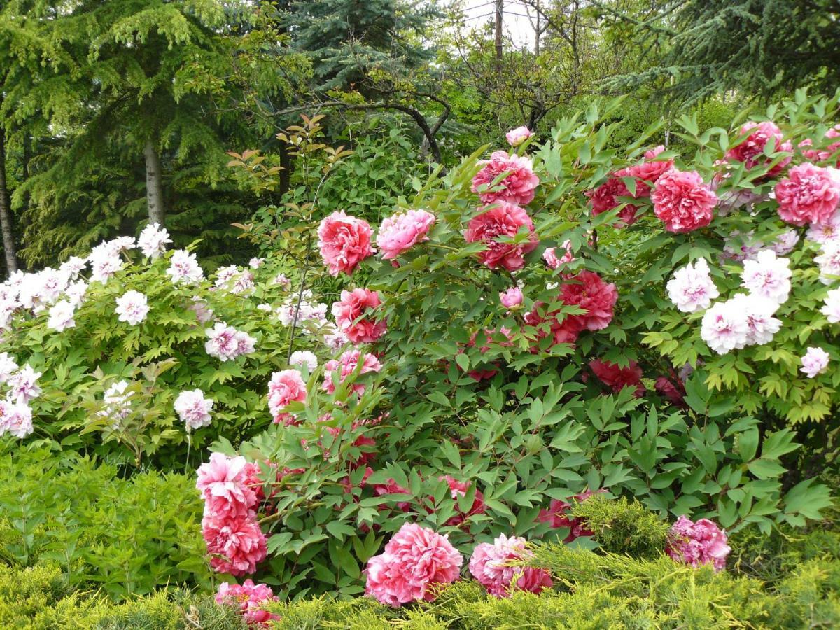 Garten Vendeghaz Эгер Экстерьер фото